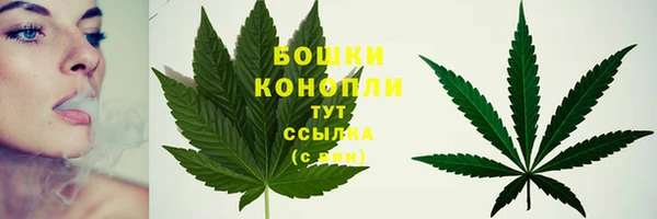 стаф Кукмор