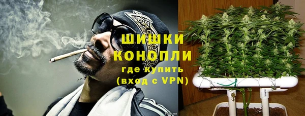 дживик Лабытнанги