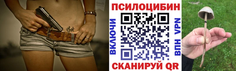 kraken онион  Навашино  Псилоцибиновые грибы прущие грибы  маркетплейс официальный сайт  даркнет сайт 